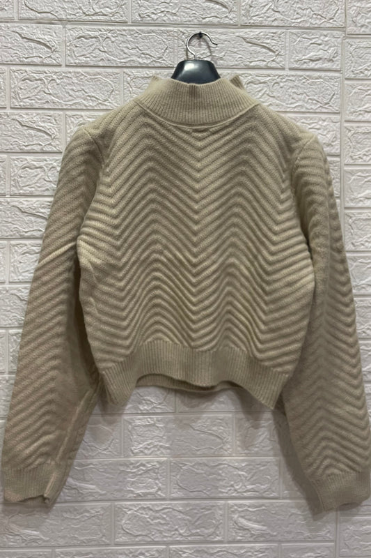 Pinteresty Turtle Neck Regular Full Sleeves Sweater