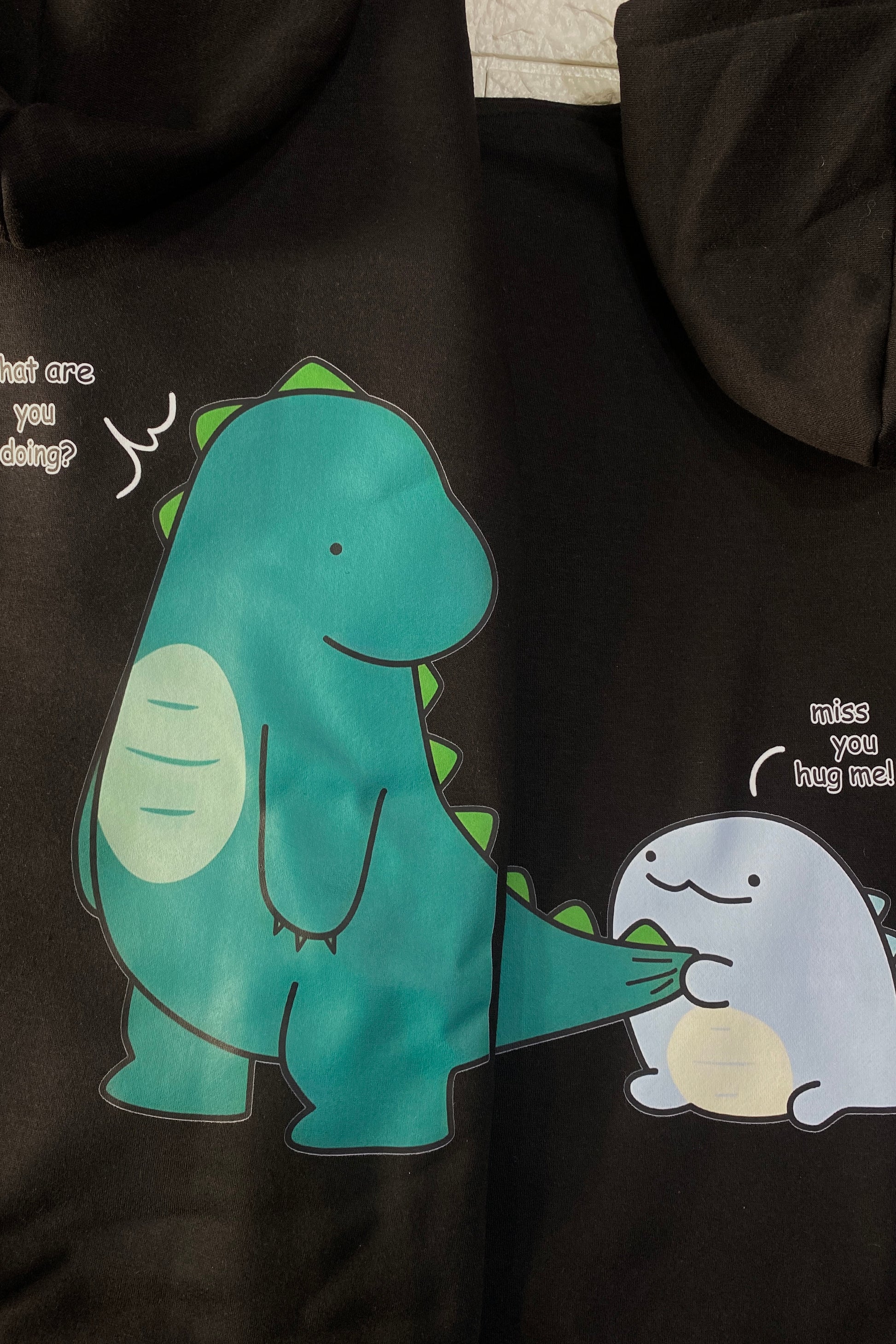 Pack of 2: Dinosaurs Matching Hoodies with custom text (back side printed only)